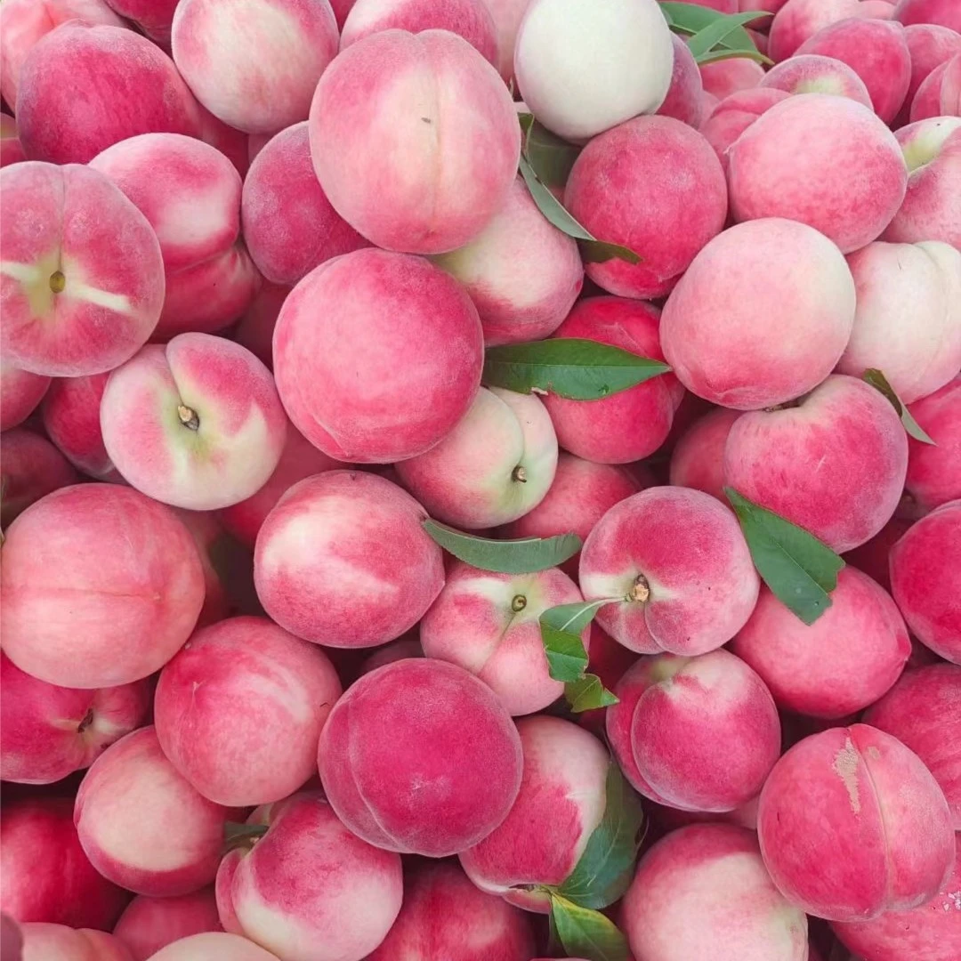 【A级】红毛桃（盒装）
