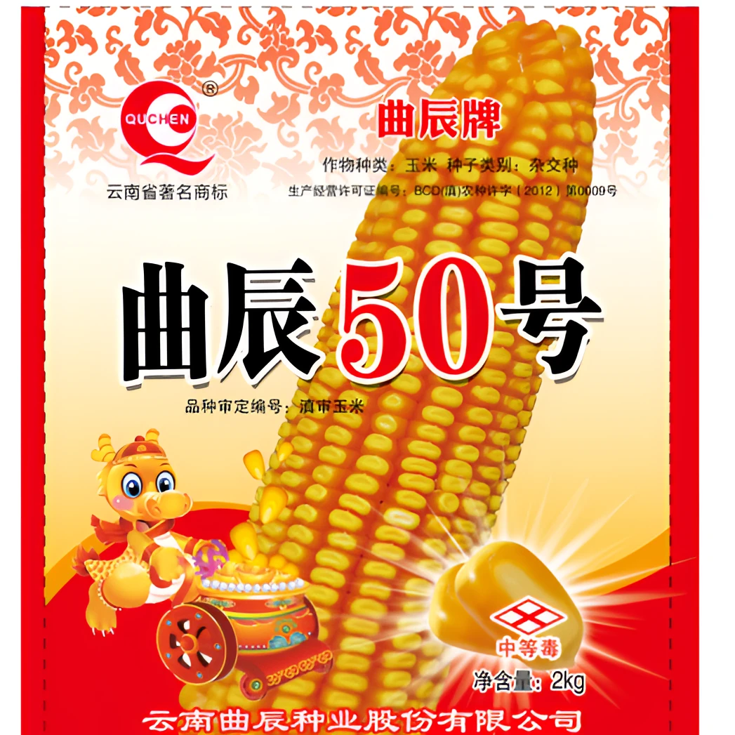 曲辰50号高产玉米品种 抗病性好 品质好