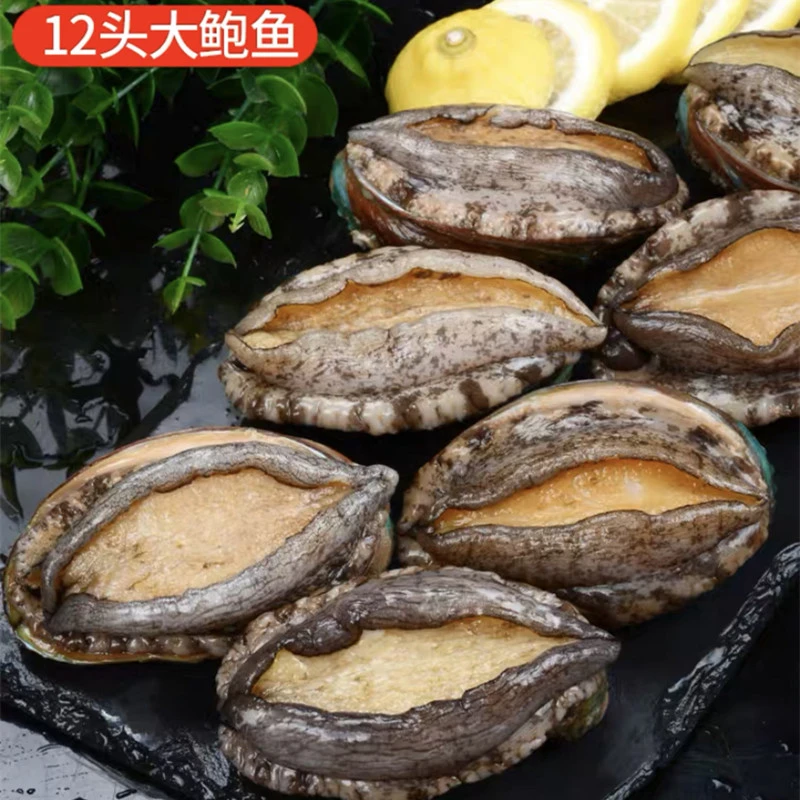 【4包*8只/包】大鲍鱼一斤12头左右 鲜活速冻发货 发顺丰不鲜包赔
