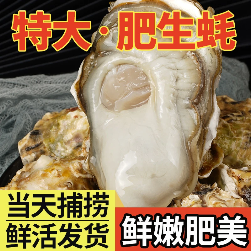 正宗乳山生蚝 净重五斤 原产地发货包邮