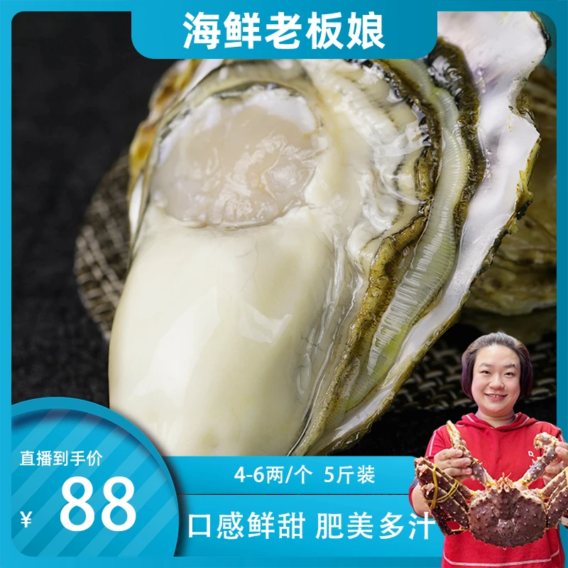 海鲜老板娘推荐 正宗乳山生蚝 净重五斤 原产地发货 顺丰包邮