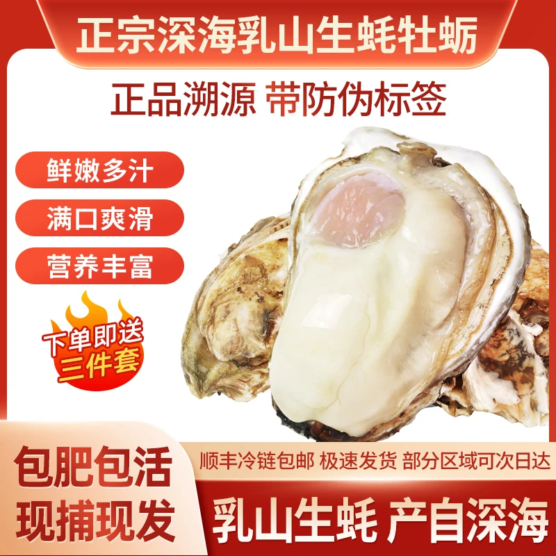 【活动专享】单只1.5两尝鲜正宗乳山生蚝五斤装原产地发货 顺丰包邮
