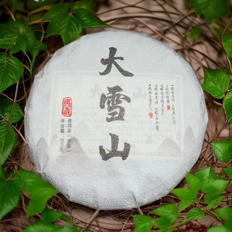 【尾货清仓】2019年勐库大雪山古树茶200克饼生茶拍5发6
