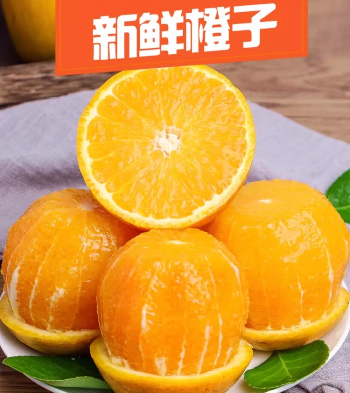 【网红热卖】正宗奉节脐橙现摘现发新鲜甜带叶发货3-20斤爆汁果C-01