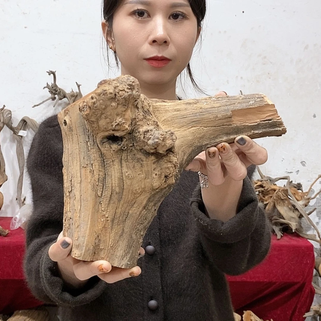 【闪购商品】柏木优**园我们都是好孩子呀