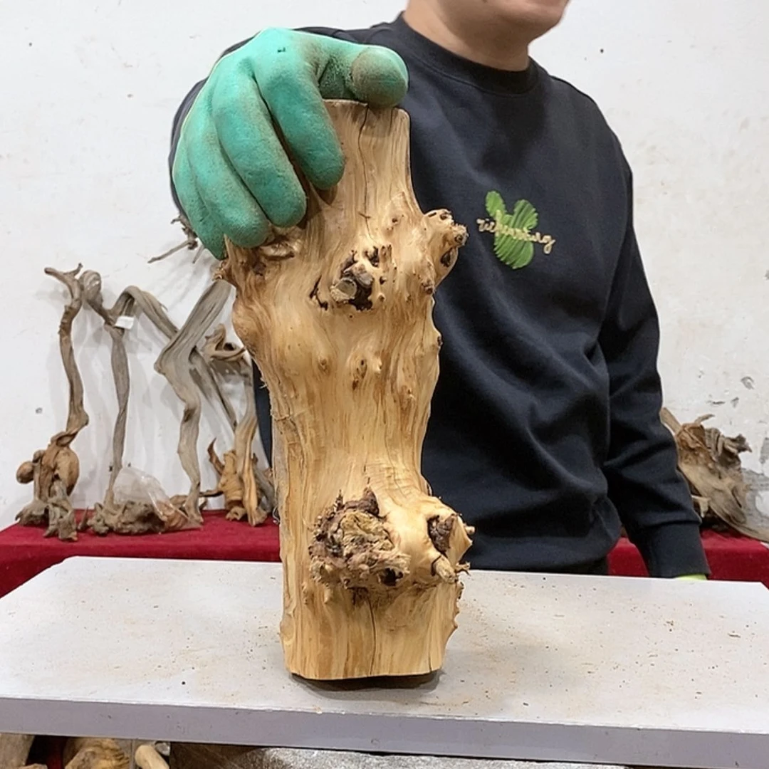 【闪购商品】柏木抖***人我们都是好孩子