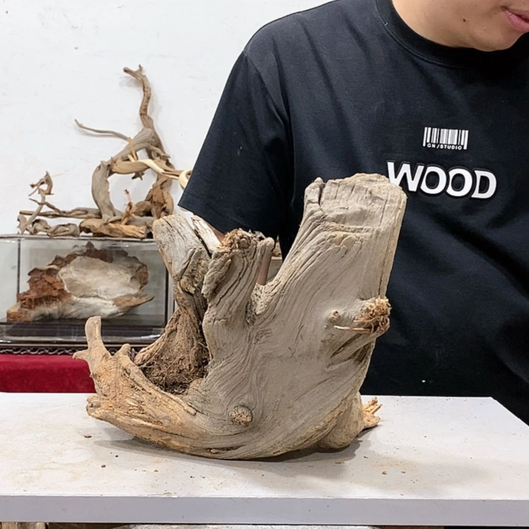 【闪购商品】柏木抖***人我们都是好孩子