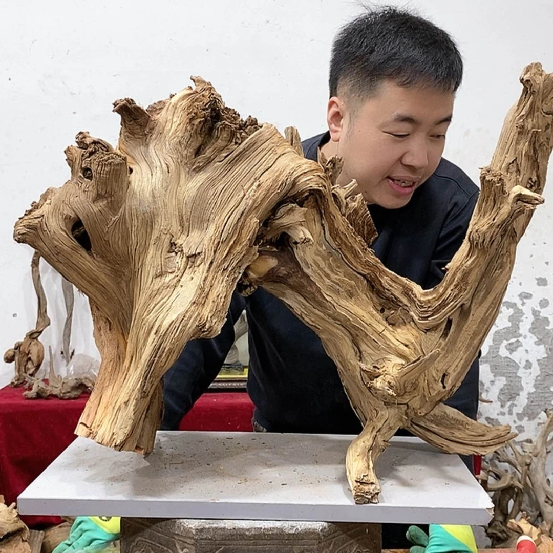 【闪购商品】柏木青****)我们都是好孩子呀我
