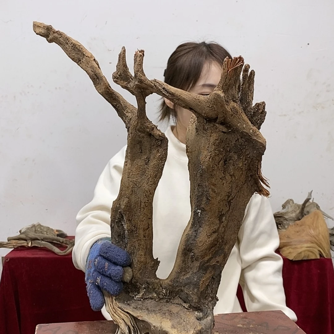 【闪购商品】柏木邓*华