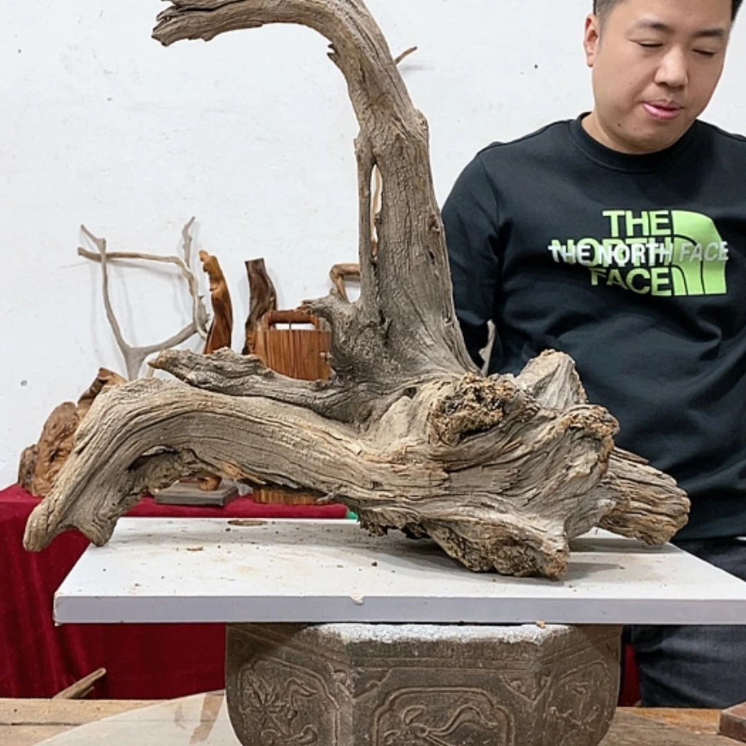 【闪购商品】柏木酒**督我们都是好孩子