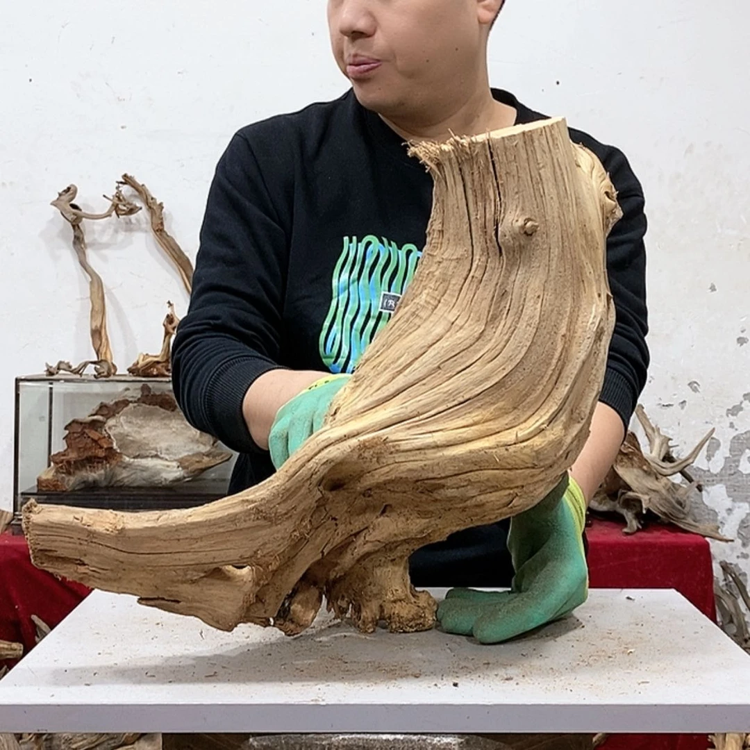 【闪购商品】柏木优**园我们都是好孩子