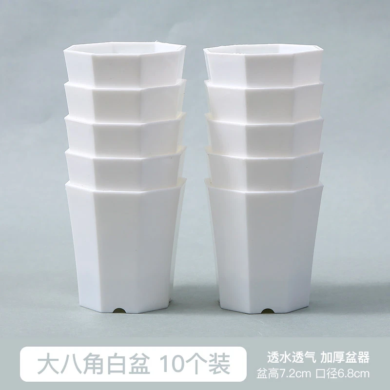 【木木禾】多肉植物10个八角白盆加厚塑料 多肉花盆简约百搭