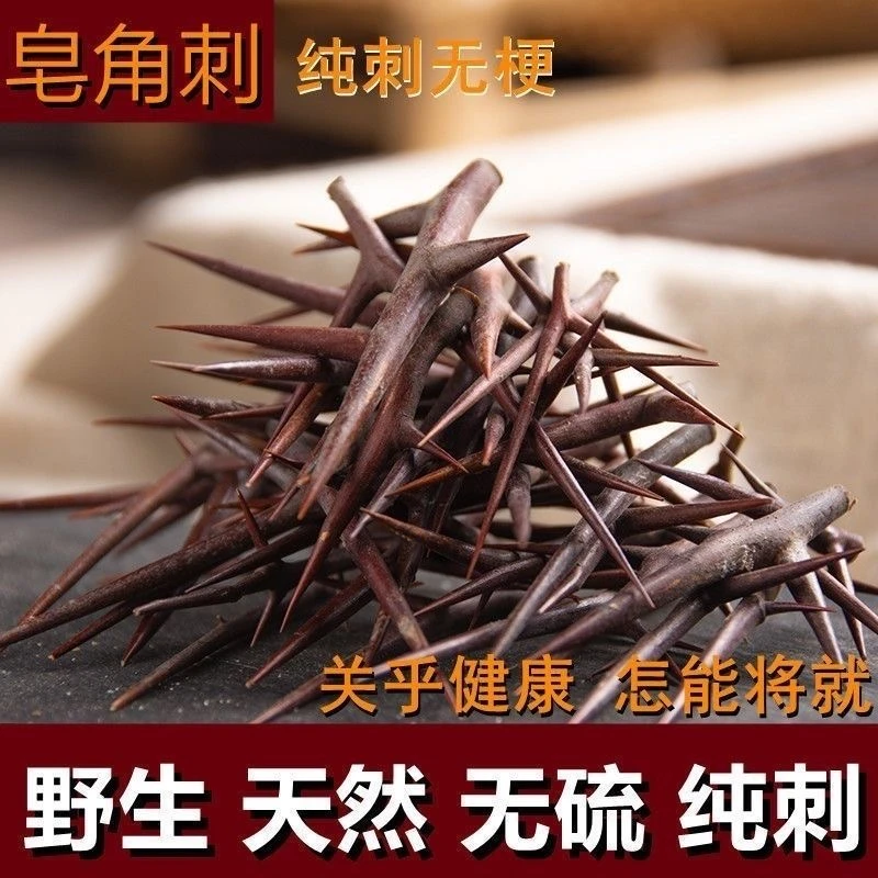 皂刺 皂角刺 皂荚刺 天丁 皂荚米