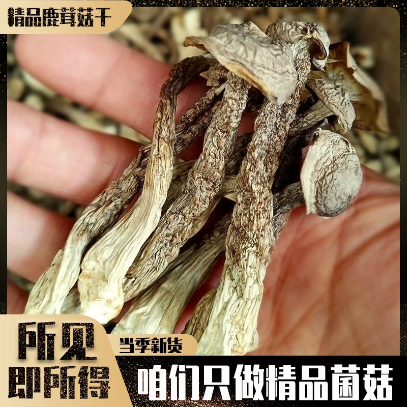 云南鹿茸菇干货鹿茸菌鹿茸菇菌菇特产煲汤炒菜炒肉古田干货食用菌