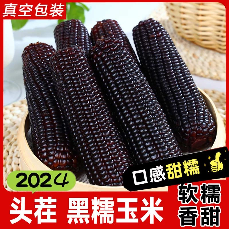 2024当季头茬黑糯玉米8支非转粘玉米220g/支sxz