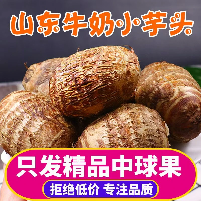 【粉丝专享】山东新鲜牛奶香芋毛芋头5斤当季 老少皆宜营养原产地