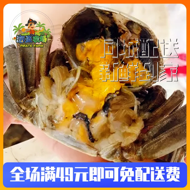大闸蟹母蟹一份6只（单只在2.5两左右）