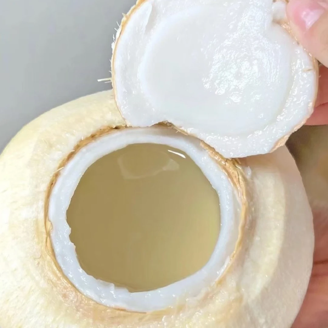 椰青一箱9粒装