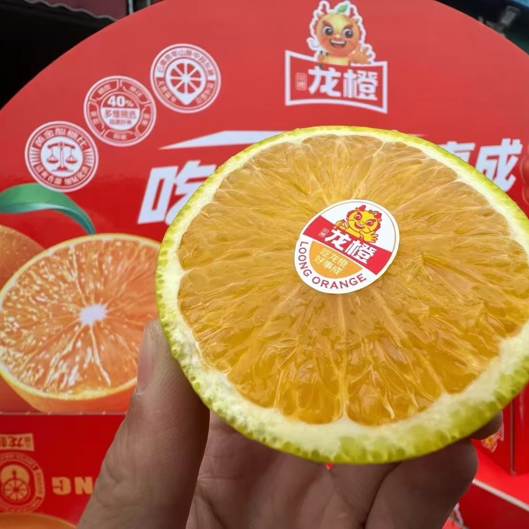 【果叔源选】哀牢山花腰龙橙自然熟冰糖橙4.5斤/9.5斤 顺丰包邮
