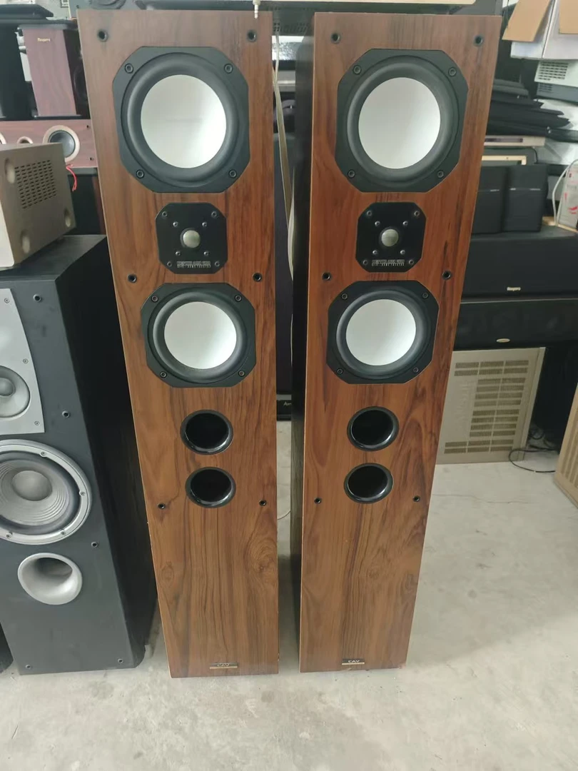 9新  《CAV  型号 凯旋2号 侧10寸3分频落地一对 》运费自理