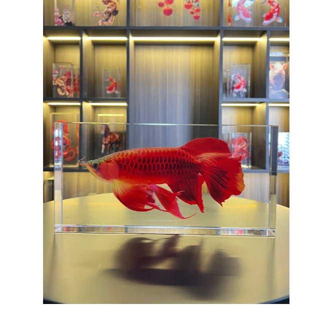 【凤凰红龙鱼】创意乔迁摆件室内桌台装饰品水晶用中式酒柜创意摆件