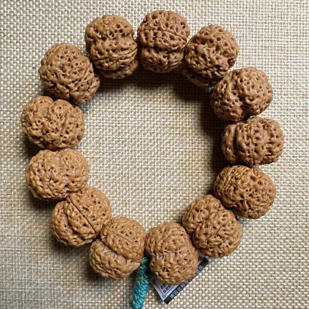 一物一图粗筋梅花桩树王大金刚