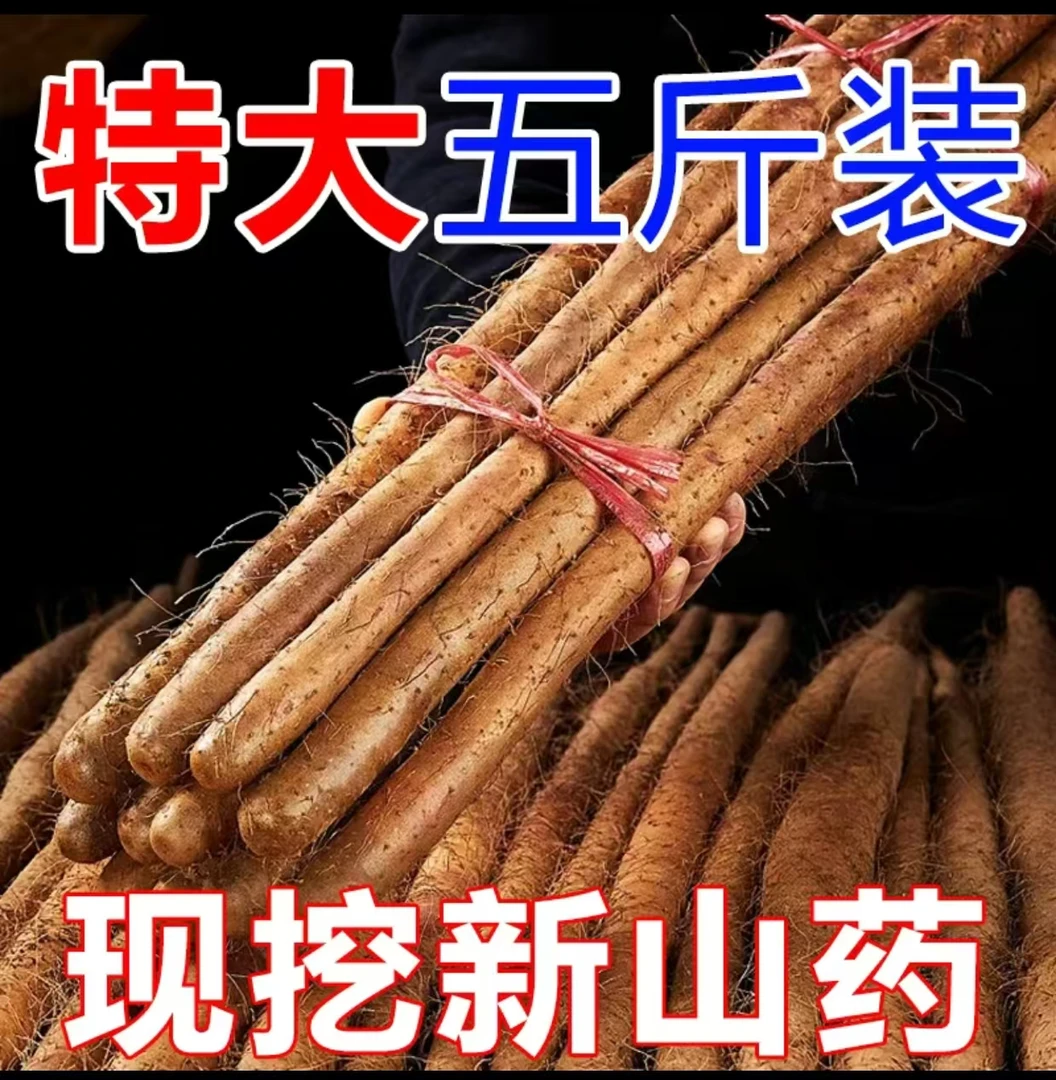 河南新鲜铁棍山药糯香面甜大果五斤70-80cm