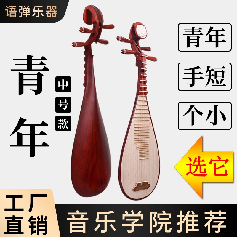 语弹 | 青年琵琶 中号初学入门自学乐器专业考级花梨木成人儿童琴