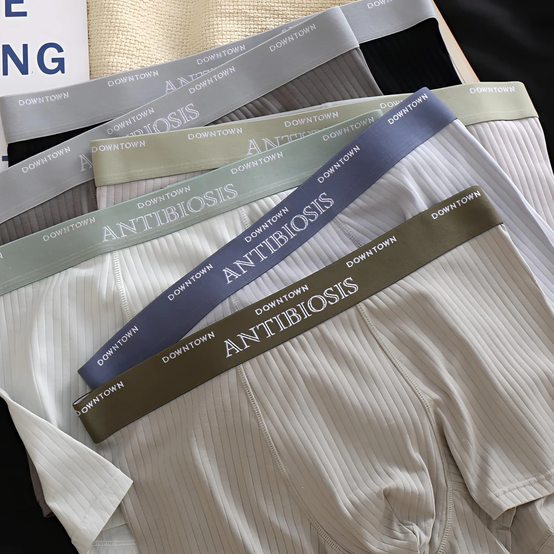 2024秋冬棉质纯色男士内裤简约条纹平角裤男生字母腰带中腰四角裤