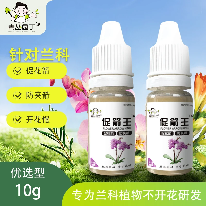 【拍二发三】青丛园丁促箭王冒箭防夹箭蝴蝶兰君子兰兰花基地专用