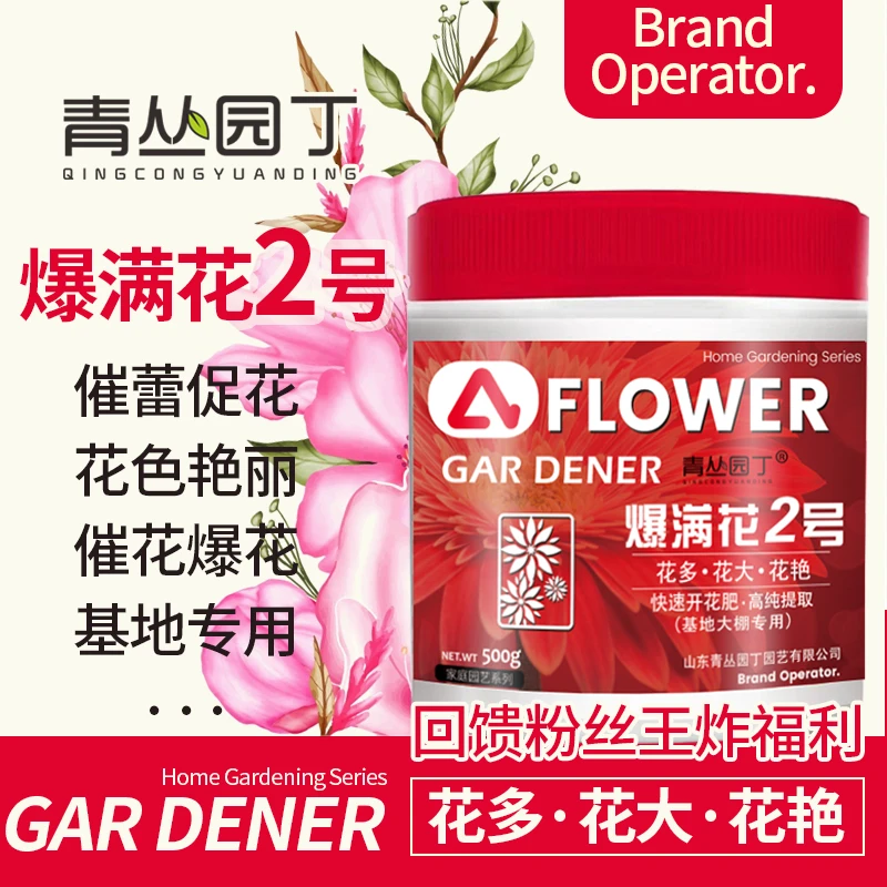 青丛园丁爆满花2号催花爆花早秋延长花期家庭园艺花卉植物通用