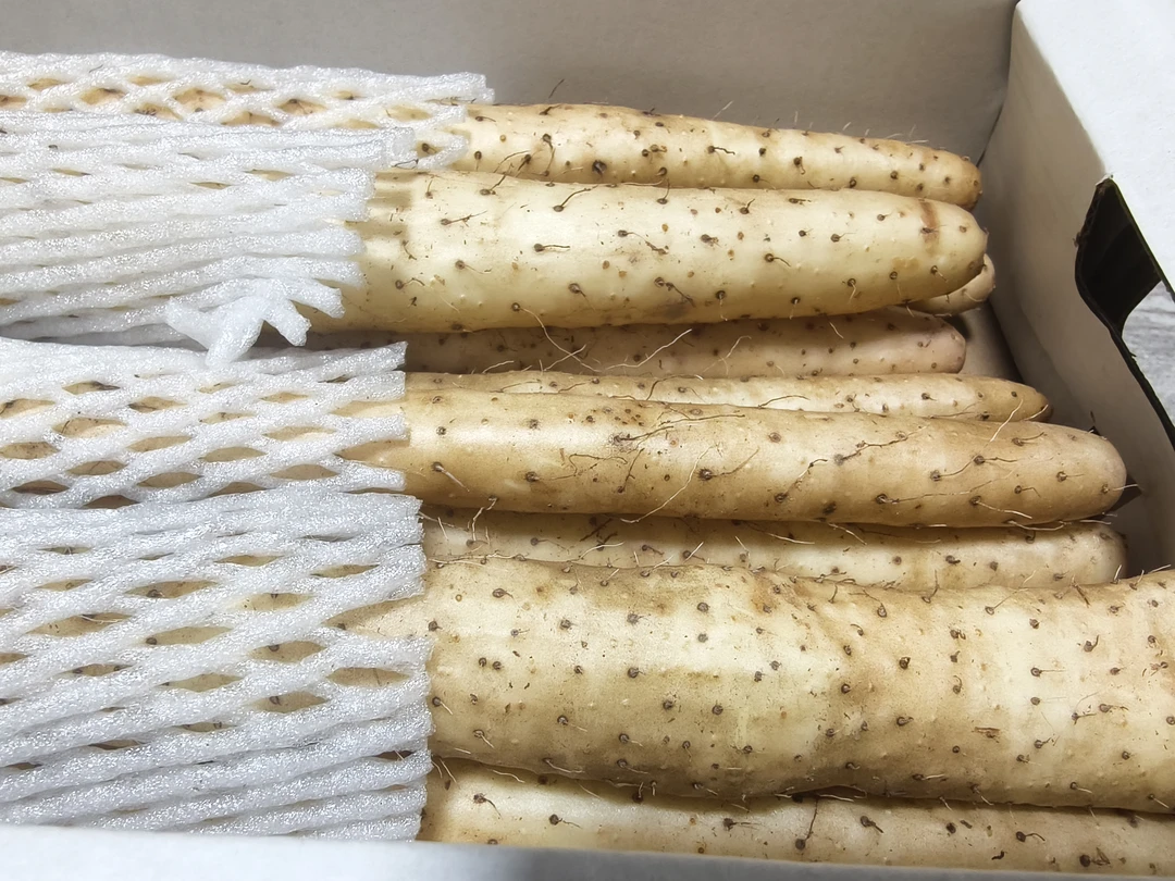 【京东包邮】新鲜金沙山药 细腻丝滑到手1.6kg
