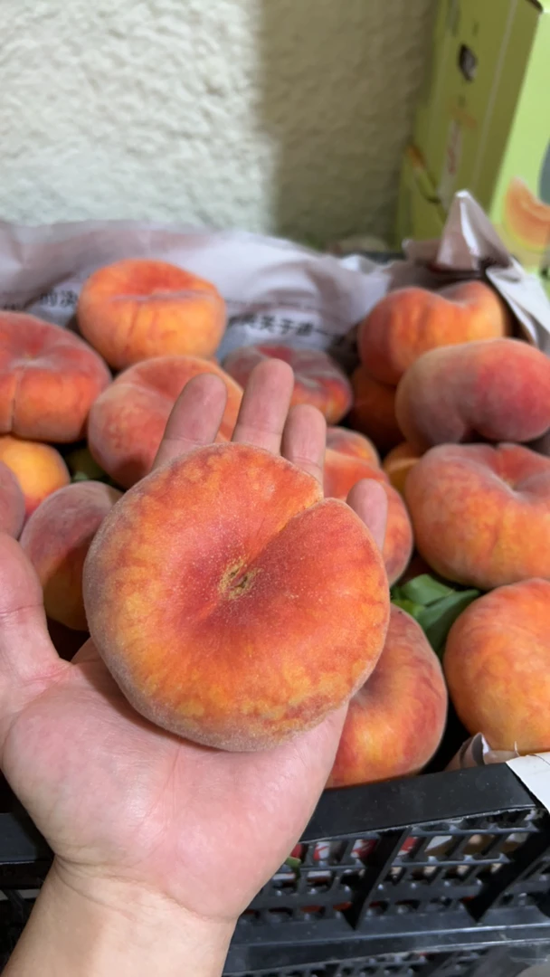 新鲜采摘蟠桃 口感细腻甜度高 净重2.5kg