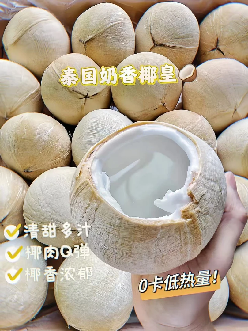 【九鼎直发】泰国进口老树椰皇奶香椰皇清甜可口