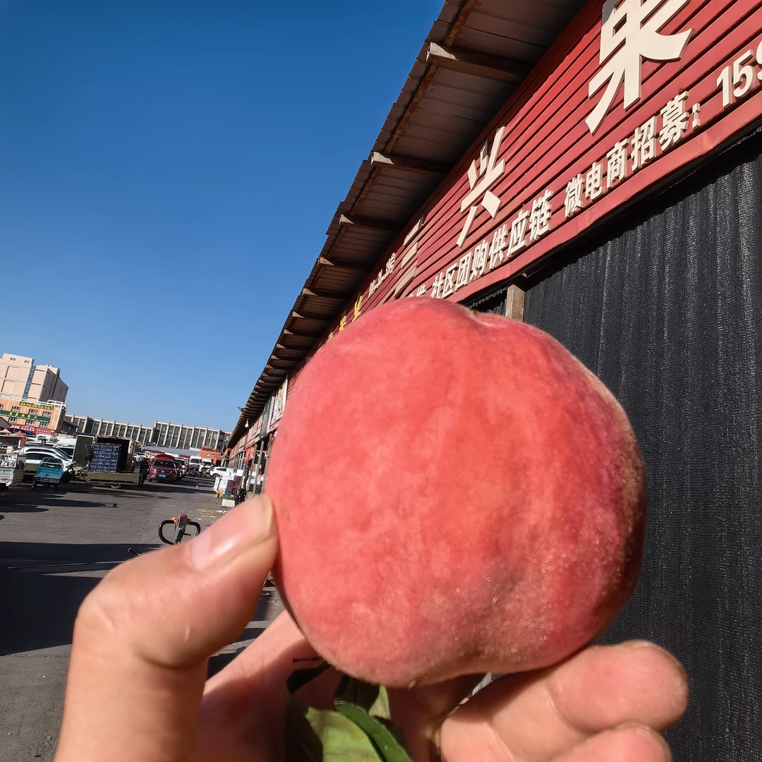 【京东包邮】好吃不贵粉红脆桃香甜当季生鲜3Kg/装