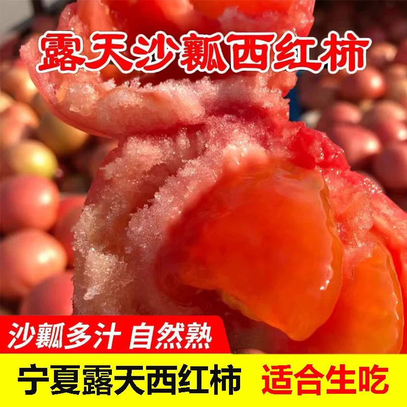 宁夏沙地现摘露天西红柿沙瓤番茄新鲜水果蔬菜孕妇番茄生吃