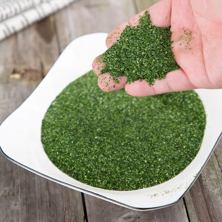 青海苔粉200g 章鱼小丸子材料海苔撒粉 海苔碎寿司料理食材