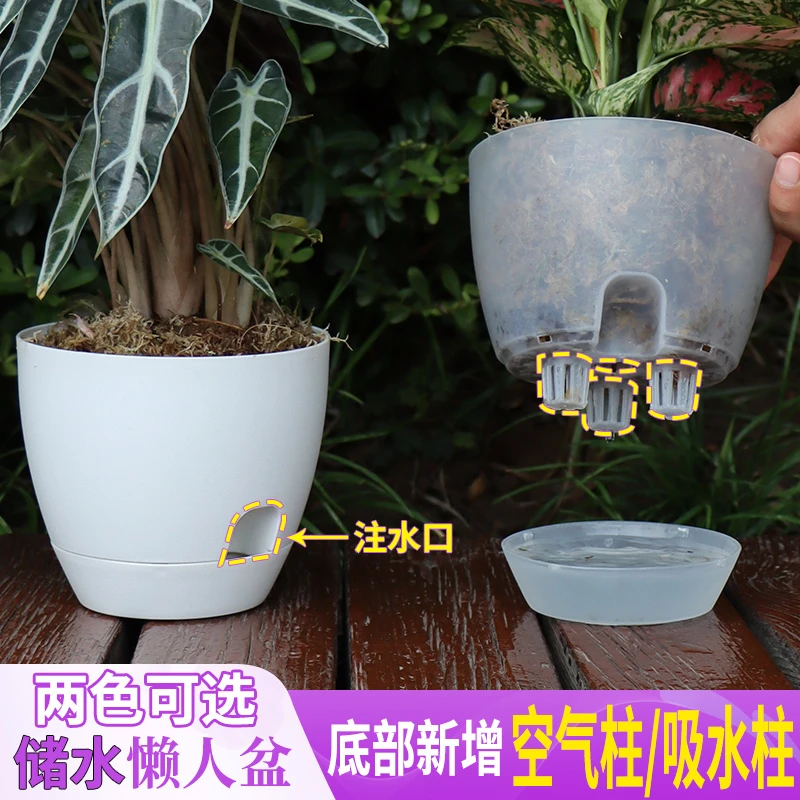 自吸水花盆懒人花盆阳台白掌吊兰绿萝种植自吸水树脂透明水培器皿