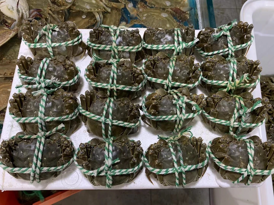 江苏大闸蟹 (1.8两-2两)10只