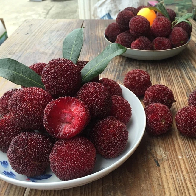 【顺丰冷链】7A仙居东魁杨梅96颗装（单果20-25克）