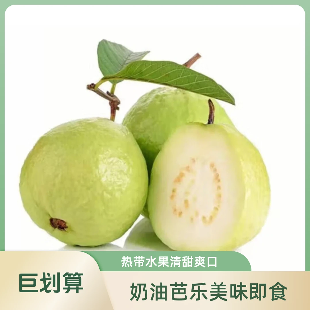 【整果】白心奶油芭乐.2个约300g 熟度自行判断