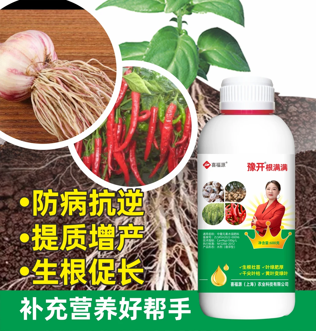 豫开小白瓶，生根营养，苗粗苗壮