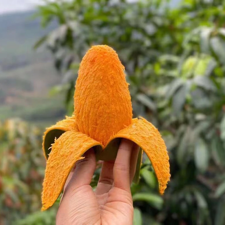 云南永德椰香芒果鸡蛋芒新鲜现摘应季孕妇爆甜水果整箱