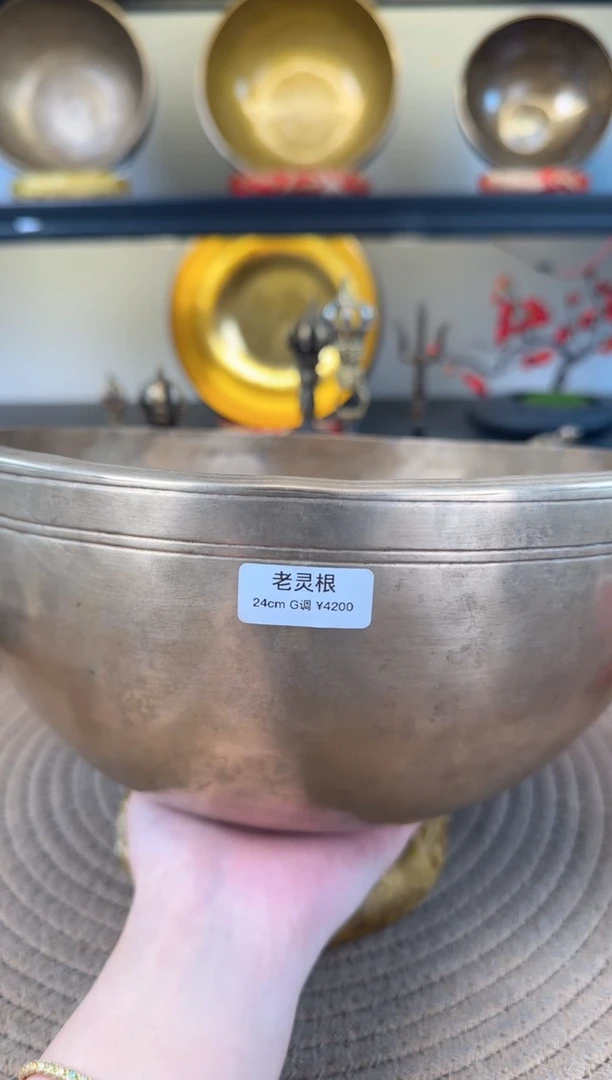 【闪购商品】24cm-g      送全套配件