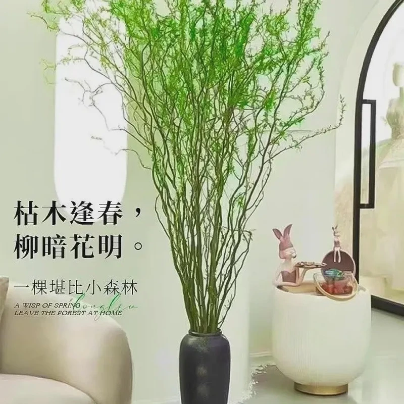 【高度1.4-1.6m】 水培植物龙柳鲜枝切水养绿植美观办公室客厅赠品