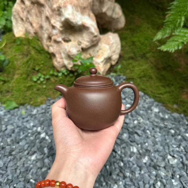 匏尊壶 原矿老紫泥 200cc