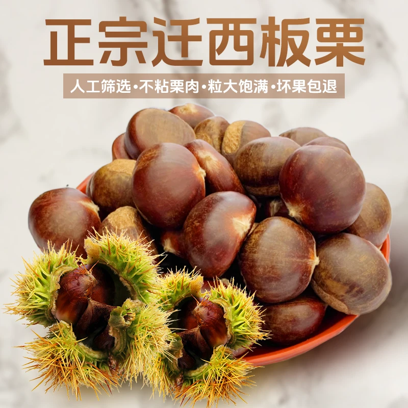 【有机】2025年迁西板栗带壳生鲜65粒/市斤拍5斤立减20元香甜软糯