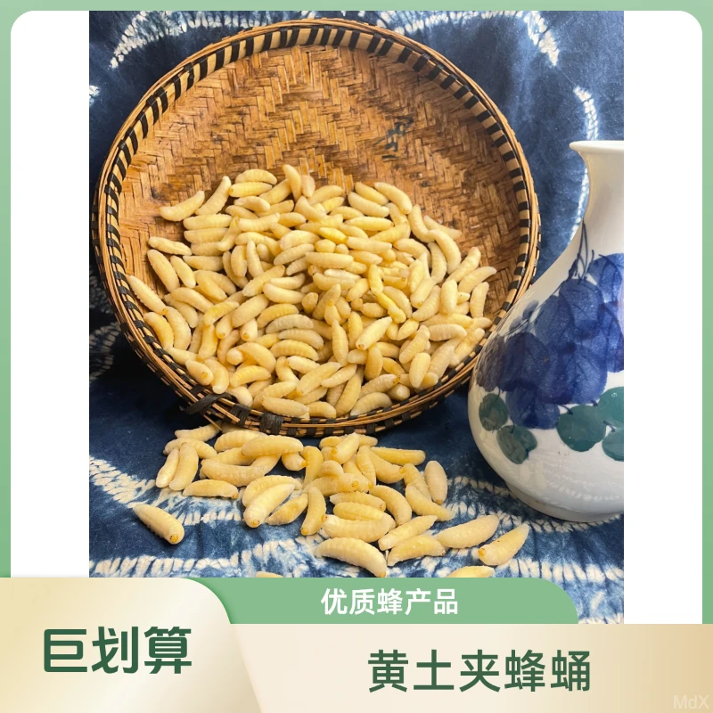 一级黄土夹精品蜂蛹云南特产