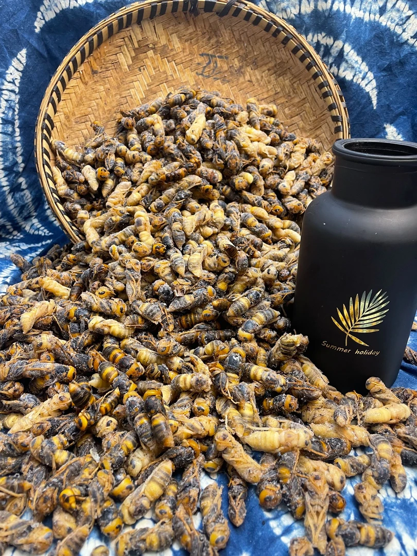 云南黄土价四级马蜂蛹云南特产500g新鲜生态发货