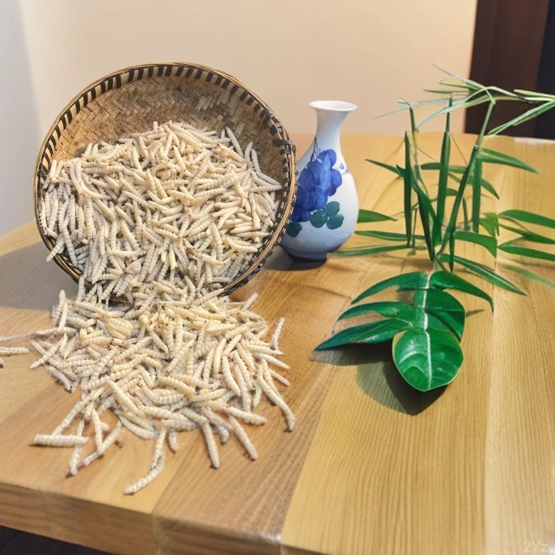 云南竹蛹竹笋虫鲜活速冻竹节虫